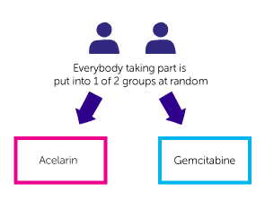 Diagram for Acelarate
