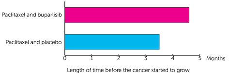 BERIL-1 Trial Diagram