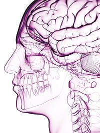 Brain tumour research