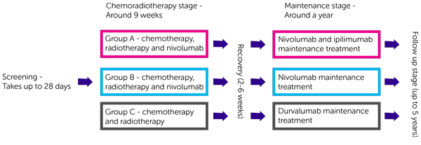 CheckMate 73L Trial Diagram