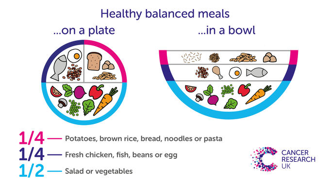 Infographic showing the proportions of food groups that should make up a meal on a plate and in a bowl