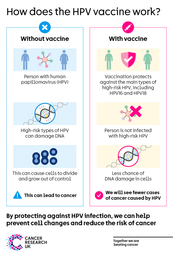 HPV vaccination protects against HPV infection, so there is less chance of DNA damage in cells and fewer cancers caused by HPV.