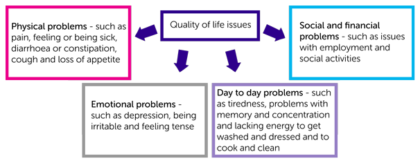 Diagram-showing-QOL-issues