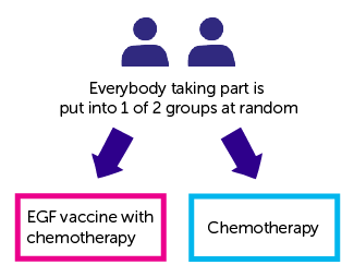 Diagram-showing-trial-randomisation