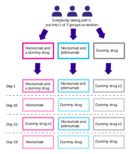 Diagram for CA209451 trial design