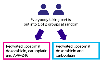 Diagram for EUTROC-PiSARRO
