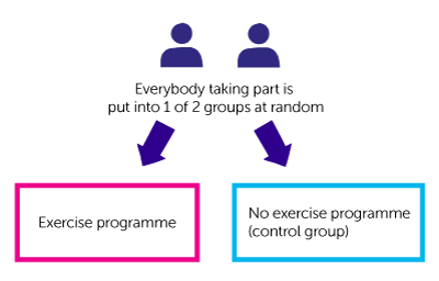 Diagram for ExPeCT