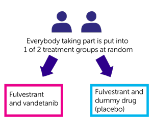 diagram_for_furva.