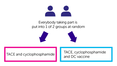 Diagram for ImmunoTACE