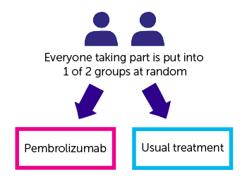 Diagram for KEYNOTE 177 trial design