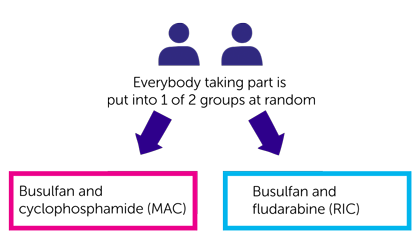 Diagram for MyeChild01