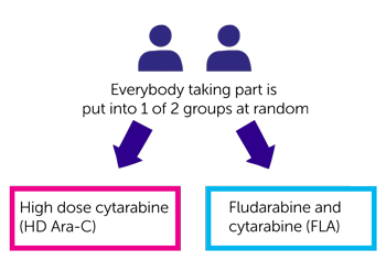 Diagram for MyeChild01 consolidation chemotherapy