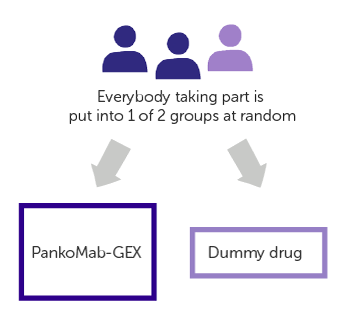 Diagram for PankoMab-GEX trial design