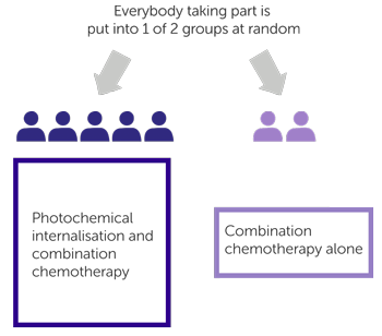 Diagram for trial