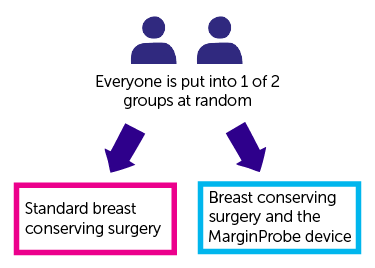 Diagram showing trial design