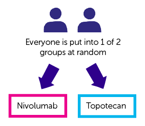 Diagram showing trial design