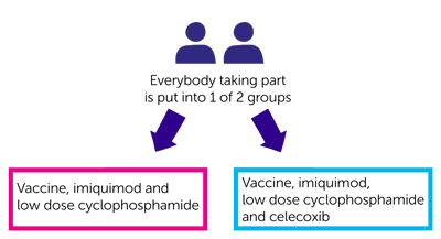 Diagram for VAPER