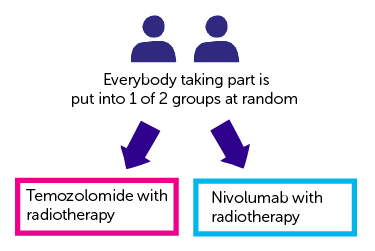 Diagram showing CA209498 randomisation