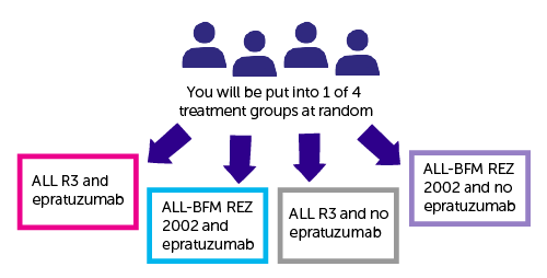 Diagram showing IntReALL SR 2010 Randomisation