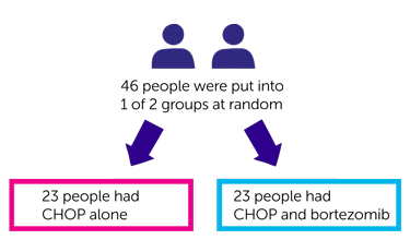 Diagram showing randomisation results