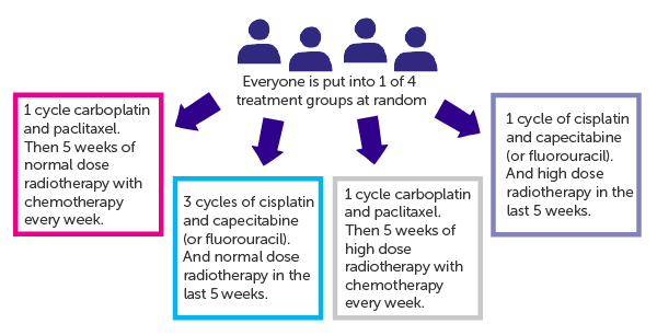 Diagram showing SCOPE2 randomisation 