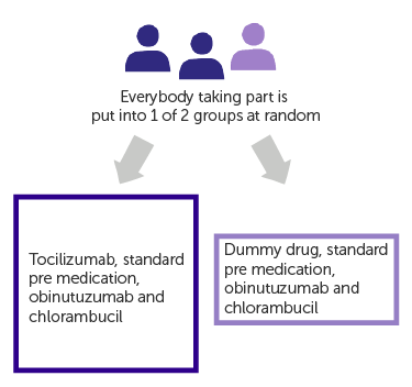 Diagram showing trial randomisation