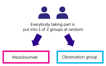 Diagram showing W02936 trial design
