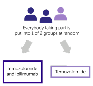 IPI-GLIO Trial Diagram