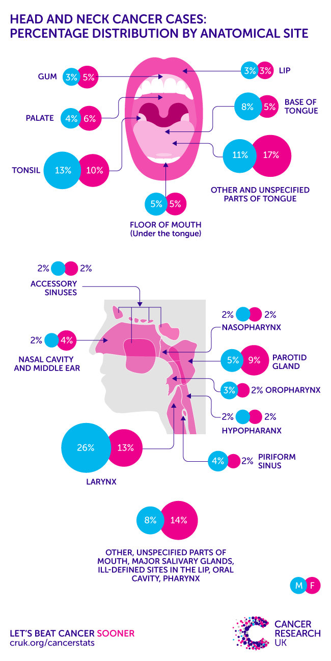 Head And Neck Cancers Incidence Statistics Cancer Research Uk