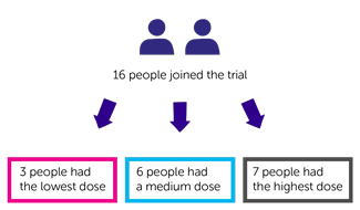HIPROC Trial Diagram
