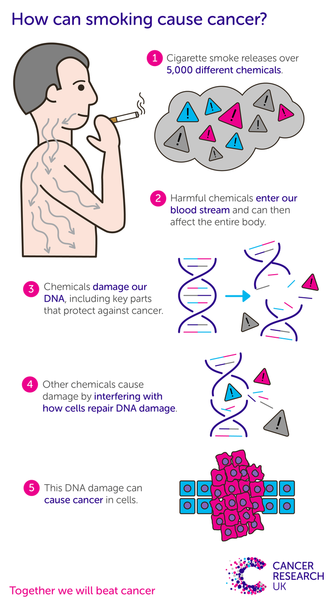 smoking causes cancer essay