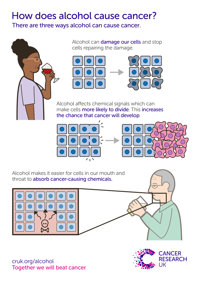 cause and effect of drinking alcohol