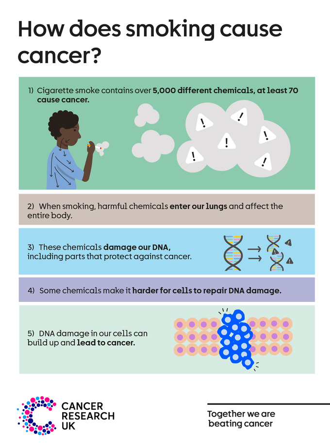 DNA is found in all our cells and controls how they behave. Even one cigarette can damage DNA. It’s the build-up of DNA damage in the same cell over time that leads to cancer.