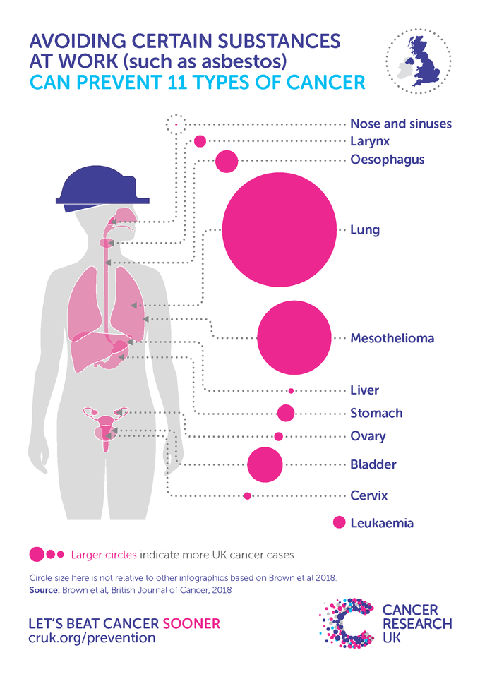 Mesothelioma Risk Cancer Research Uk