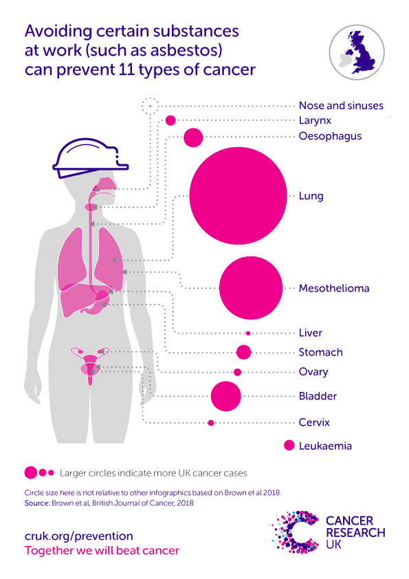 Infographic showing the cancer types associated with occupations.