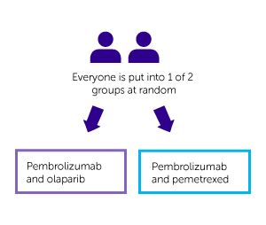 KEYLINK-006 Trial Diagram