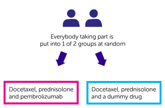 KEYNOTE-921 Trial Diagram