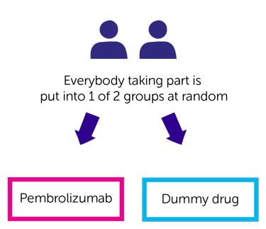 KEYNOTE-937 Trial Diagram