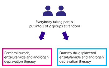 KEYNOTE-991 Trial Diagram