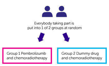 KEYNOTE-992 Trial Diagram