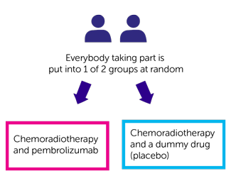 A trial of pembrolizumab for oesophageal cancer (KEYNOTE975) | Cancer ...