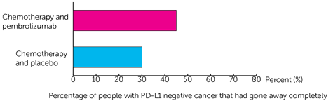 KEYNOTE 522 Trial Diagram