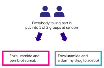 KEYNOTE-641 Trial Diagram