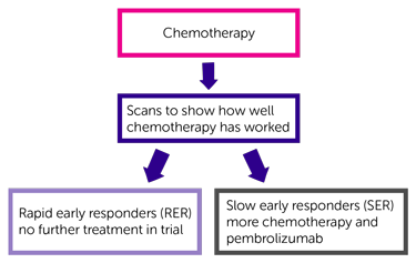 KEYNOTE667 Trial Diagram
