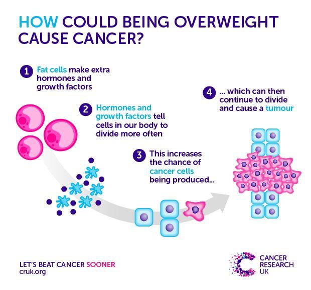 Image result for cancer obesity