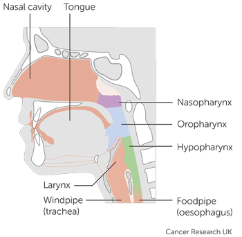 LEAP-009 Trial Diagram