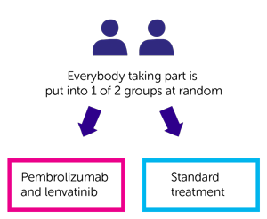 LEAP-017 Trial Diagram