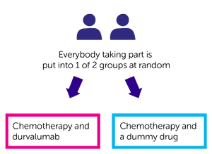 MERMAID-1 Trial Diagram