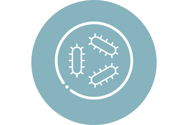 Icon of mitochondria