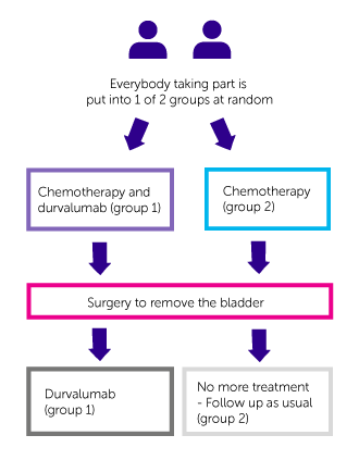 NIAGRA Trial Diagram